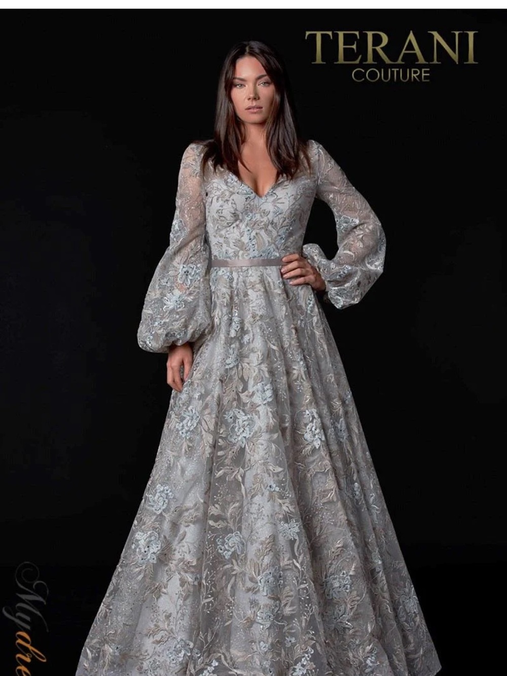 Terani Couture Silver Embroidered Long Sleeve Ball Gown